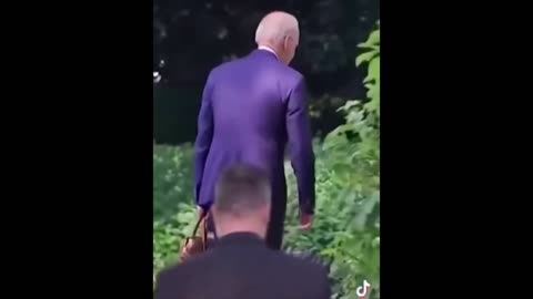 Try Not To Laugh!