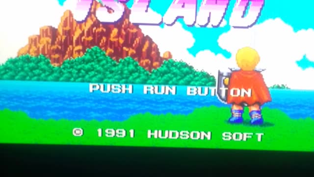 jogo adventure sland pt3 pc engine