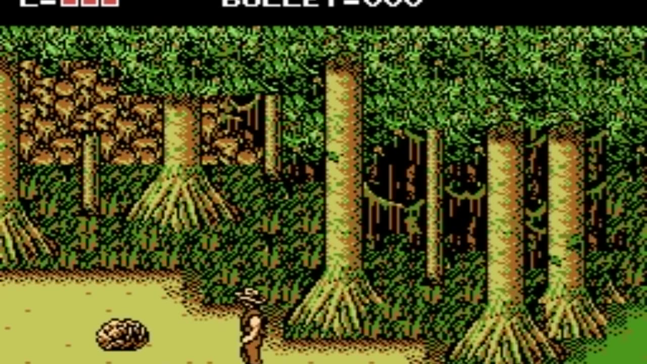 The Adventures of Bayou Billy (NES)