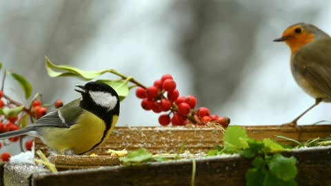 Filhos da natureza