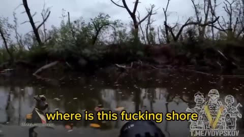 Ukraine war combat footage 11/1/24