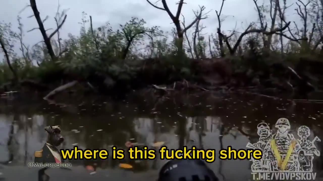Ukraine war combat footage 11/1/24
