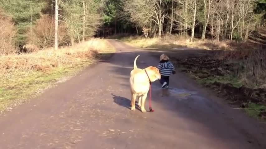 Best Friends - a kid, a dog and a puddle