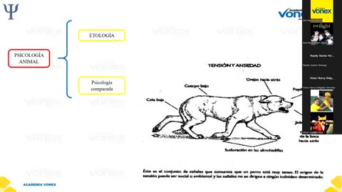 VONEX ANUAL 2022 | Semana 05 | Psicología