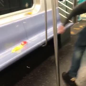 Guy screaming drunk yelling throwing things on subway window seats