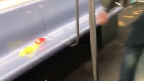 Guy screaming drunk yelling throwing things on subway window seats