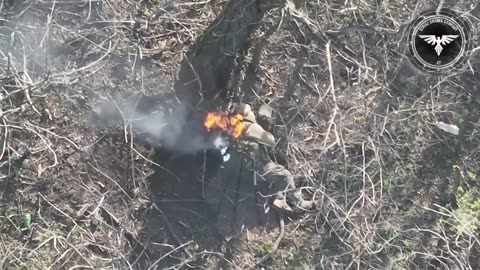 Russian shoots fpv drone which catches fire and hits his squadmate