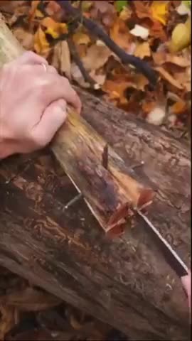 Survival Hack - Save this! Awesome torch/firestarter