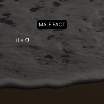 When a guy gives you his undivided attention... Male Fact