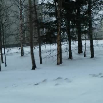 We are driving in a city in a snowstorm in November.