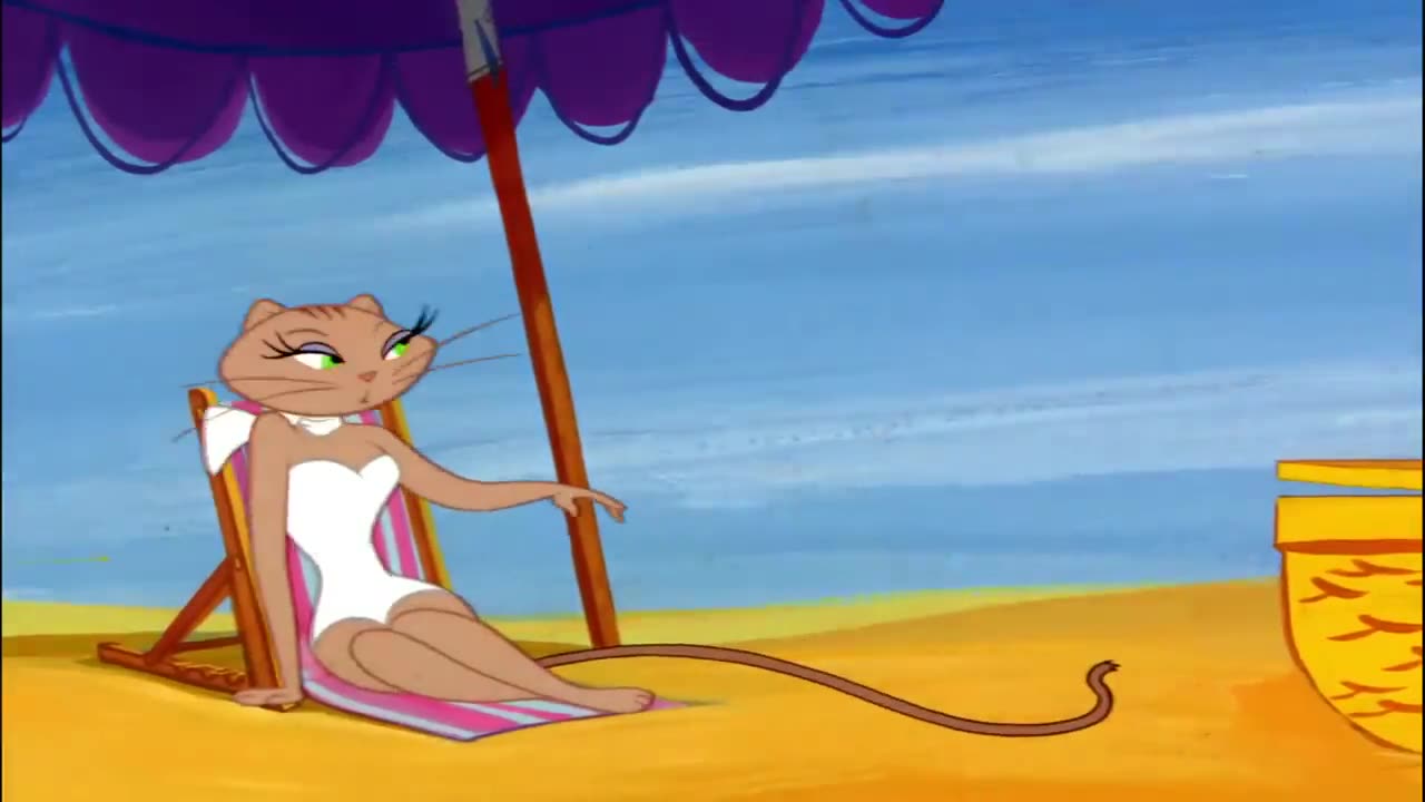 Tom and Jerry funny fight