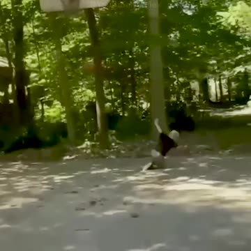 Epic Fails Funny Moments