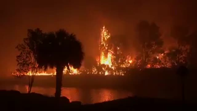 Wildfire in Florida forest. #SWFL was put out