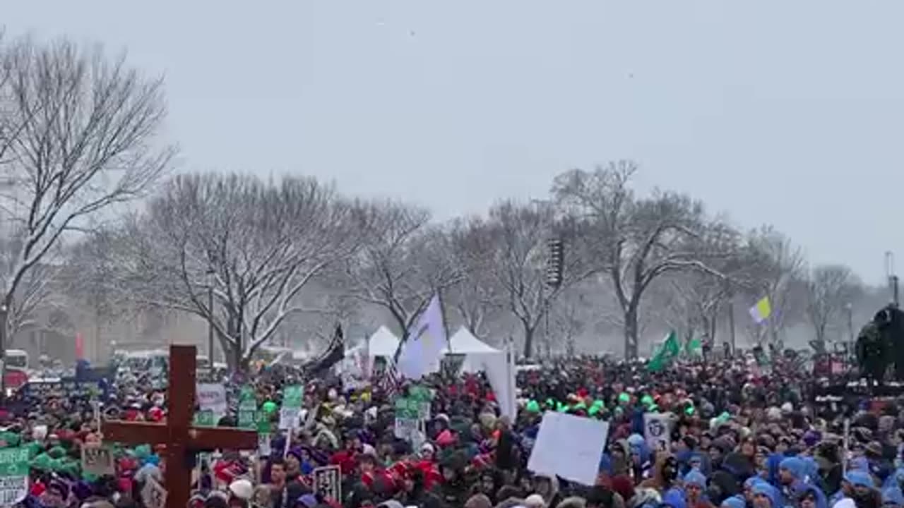 BREAKING: Massive sea of pro-life Americans brave the cold and snow to March for Life.