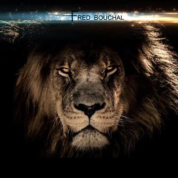 I'll Never Be Your Slave (Teaser)