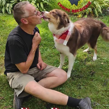 Forrest Four Paws Up!! Graduate of Proofing Behaviors Acquisition Class Level 2 Foundations.