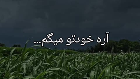 تسلیم نشو