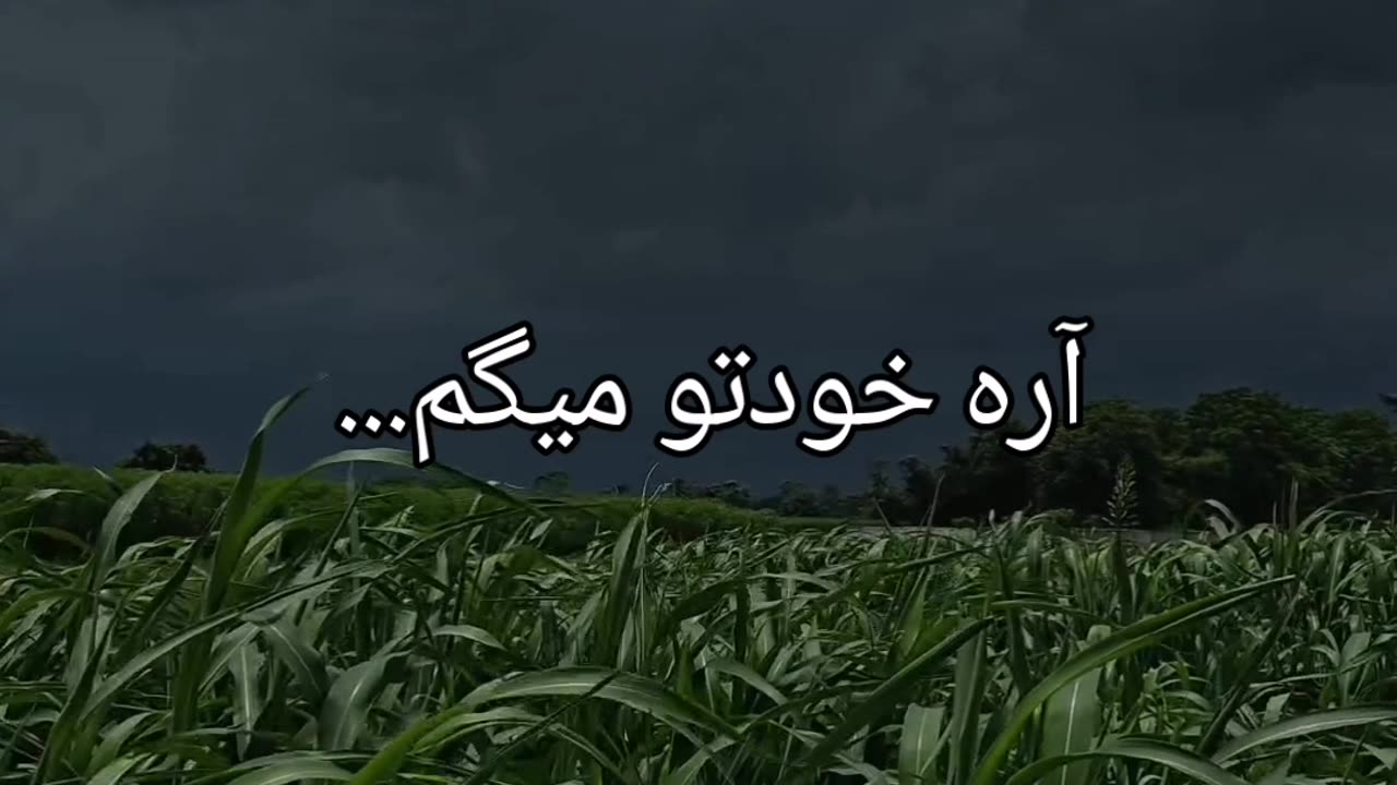 تسلیم نشو