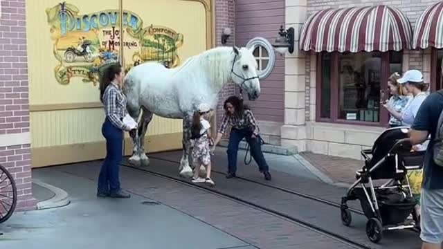 You wouldn't believe what this line is for at Disneylandu