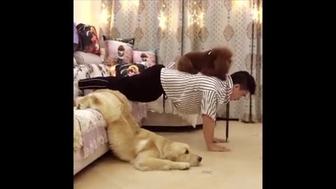 Cute Puppies Doing Funny Things