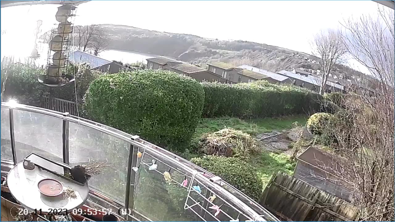 Saint Mary's cove Brixham and bird feeder
