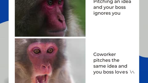 When You Pitch an Idea and Your Boss Ignores ??