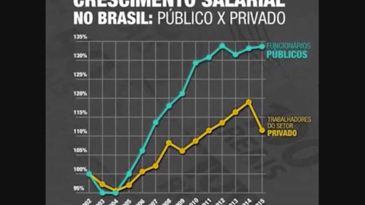 RACCOONING RACCOON - INCÊNDIO DO MUSEU NACIONAL, CULPE O FUNCIONALISMO PÚBLICO