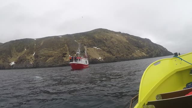 Men Free Beluga Whale from Strange Russian Harness