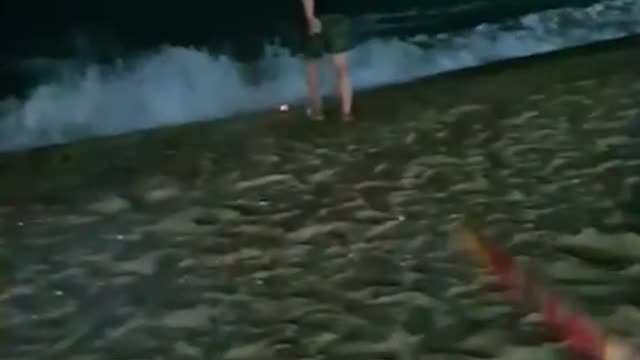 Video of enjoying a spectacular fireworks display on the beach.