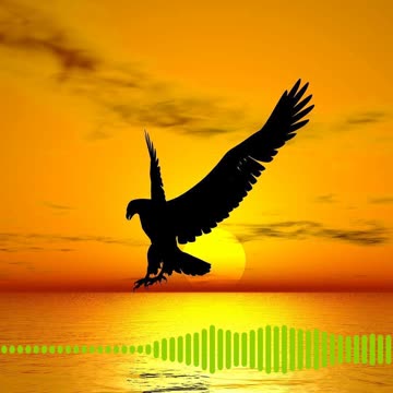 dotpaw podcast - Freedom - Thursday, August 15, 2024