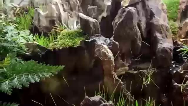 Landscape works in fish tanks(14)