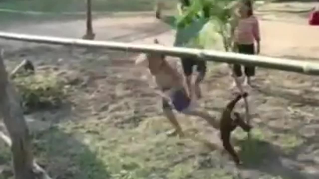 The Agility Of Apes Very Few Animals Can Match #shorts #shortsvideo #video #viral