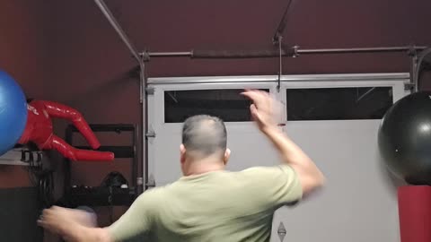 WTD Reverse Hook Kick