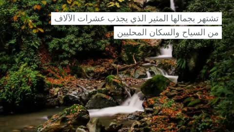 حمامات يلوا