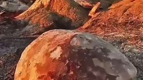 The giant past