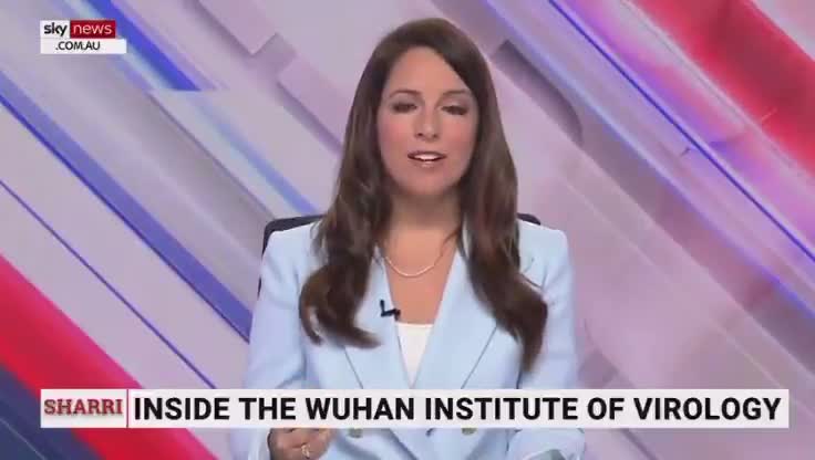 Busted: New footage uncovered of live bats within Wuhan lab, after denials