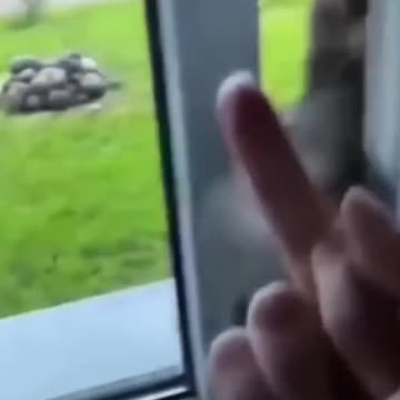 Don't interrupt the work of CAT ##