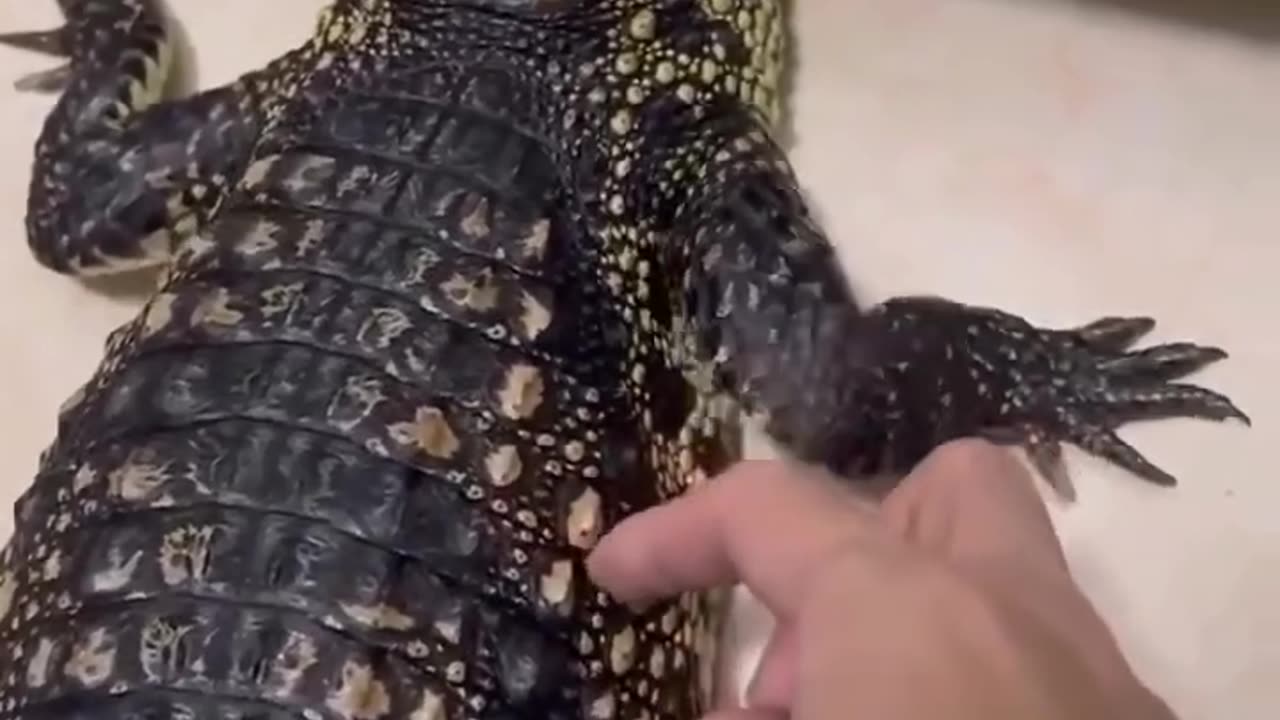 Funny reaction 😄