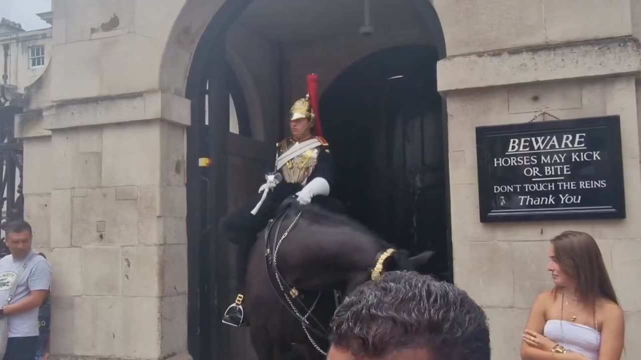 Kings Guard’s Horse Bites Tourist in London UK