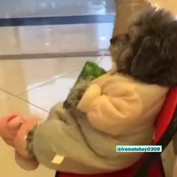 he said I just gonna chill Lol so cute