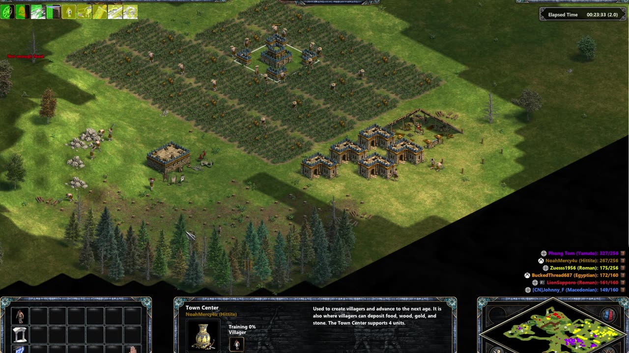 AOE 1 DE 13 Minute win. Hittite