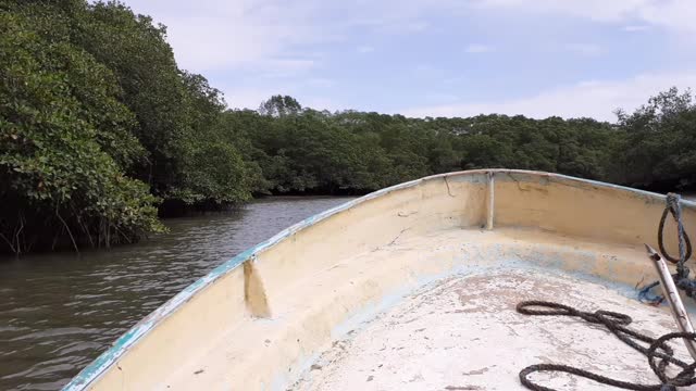 Manglar / beach