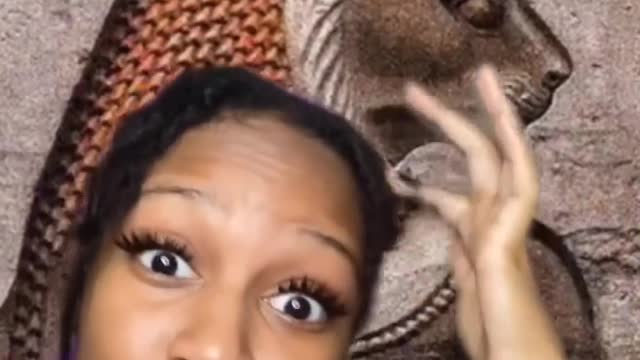 Possible connections with Aliens and Animals on earth