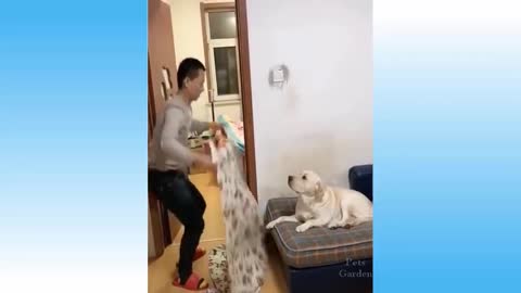 Have a laugh for the animals presentation