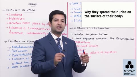 LEC#6 EXCRETION IN INVERTEBRATE ANIMALS