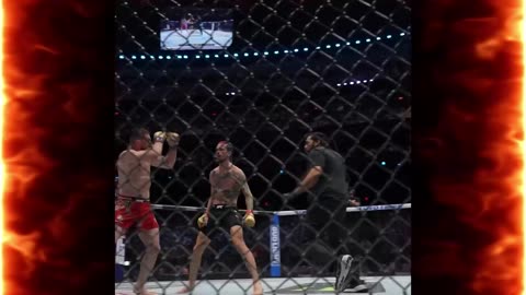 UFC 306: Merab KISSES O'Malley during Fight !! #seanomalley #MERAB #UFC360 #SHORTS #SHORTS #VIRAL