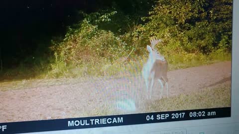 SEPT. 2017 BUCK