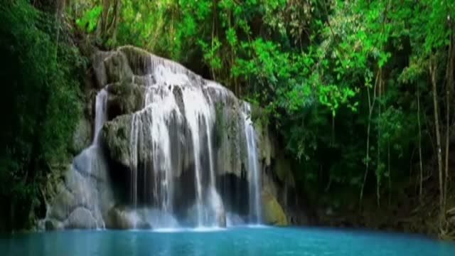 Waterfalls with trees around it