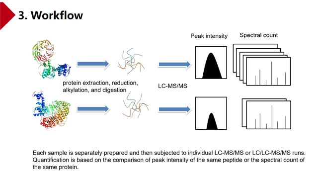 Label-free Quantitation Methods