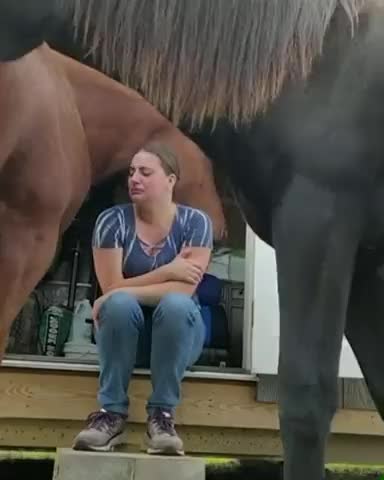the owner of the video tells the story of the loss of his father. One day she went to work at the stable. At that moment, all the horses stood around her, trying to support her